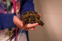 Welcome the Tortoise Meeting | 10/01/20